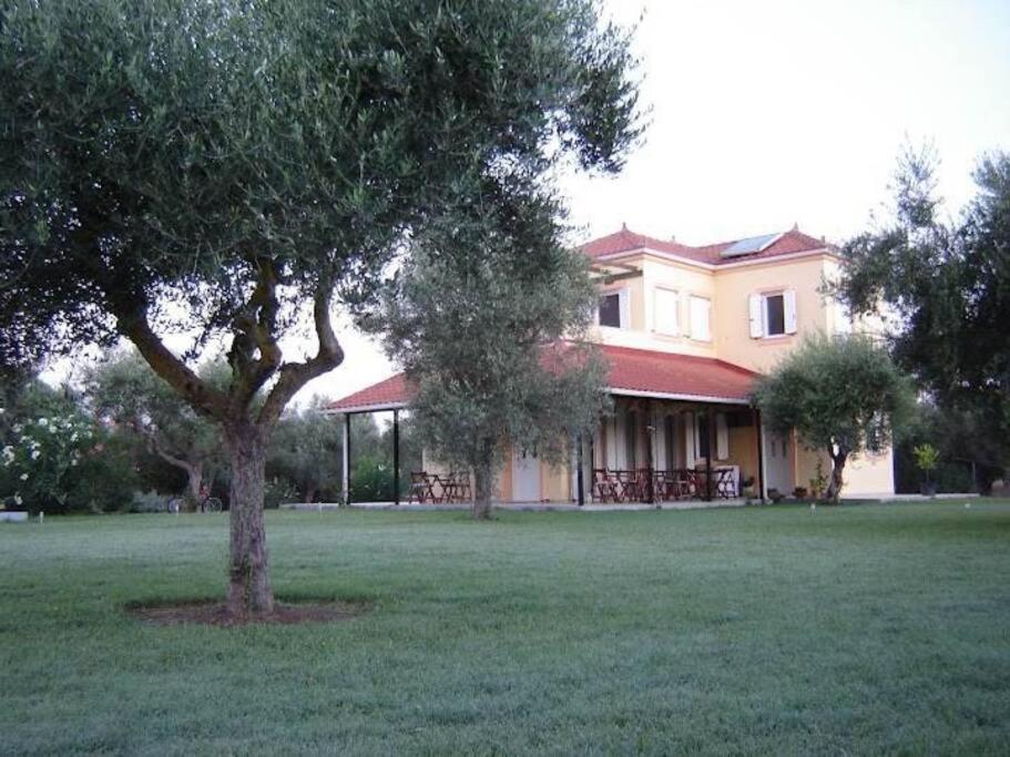 Phyllida Guest House - A2 Захаро Екстер'єр фото